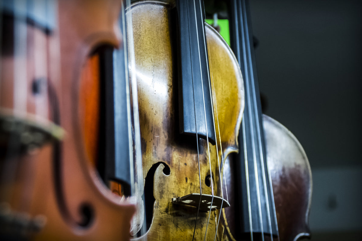 the Violin Room at House of Musical Traditions