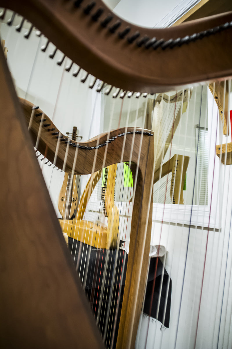 the Harp & Dulcimer Room House of Musical Traditions