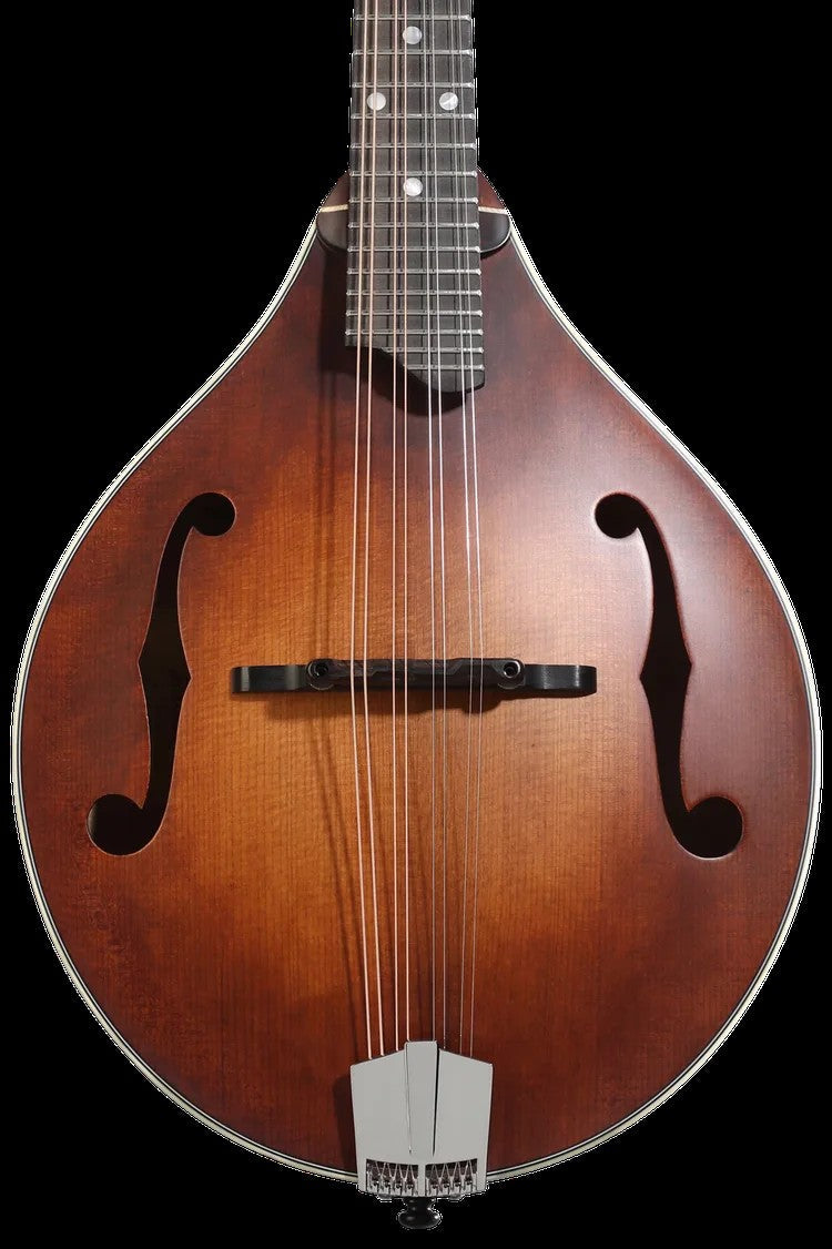 Mandolins In Stock – House of Musical Traditions