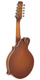 Gold Tone F-10 10-string Acoustic-Electric Mandolin