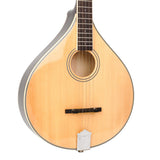 Gold Tone Banjola+ 5-String Woodbody Banjo