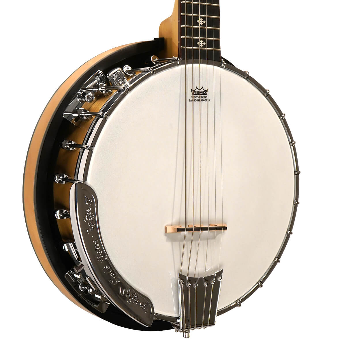 Gold tone on sale banjo guitar