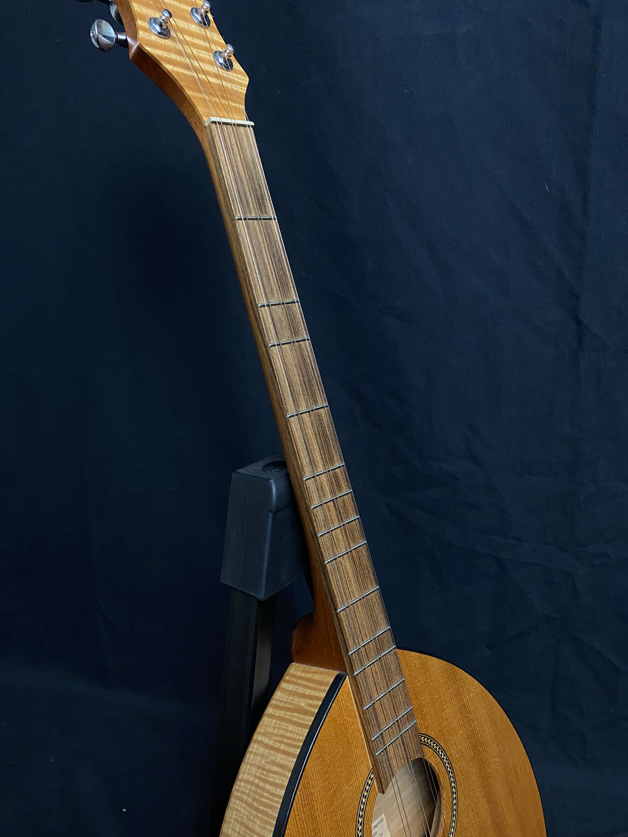 Olympia Dulcimer Co. Walkabout Deluxe Dulcimer (used) House of