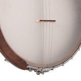 Gold Tone IT-17 17-fret Irish Tenor Banjo