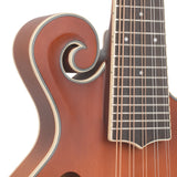 Gold Tone F-10 10-string Acoustic-Electric Mandolin