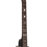 Gold Tone IT-17 17-fret Irish Tenor Banjo