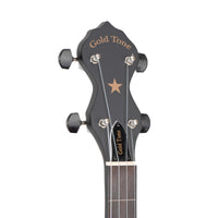 Gold Tone AC-12FL Composite Fretless Openback Banjo