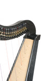 Ravenna 34 Harp by Dusty Strings