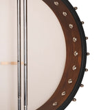 Gold Tone IT-17 17-fret Irish Tenor Banjo