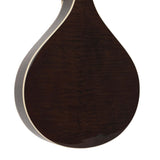 Gold Tone Banjola+ 5-String Woodbody Banjo