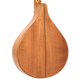 Gold Tone BZ-500 Acoustic-Electric Irish Bouzouki Cittern Octave Mandolin