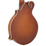Gold Tone F-10 10-string Acoustic-Electric Mandolin