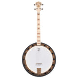 Deering Goodtime Two 17-fret Tenor Banjo w/Resonator