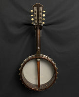 Vega Little Wonder Banjo-Mandolin, nylon strings (used)