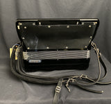 Excelsiola 120-Bass Accordion w/pickup (used)