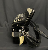 Excelsiola 120-Bass Accordion w/pickup (used)