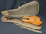 Fletcher JD-1 Tenor Guitar (used)
