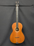 Fletcher JD-1 Tenor Guitar (used)