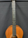 Fletcher JD-1 Tenor Guitar (used)