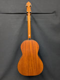 Fletcher JD-1 Tenor Guitar (used)