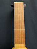 Daniel Larson Gamut 11-String Lute (used)
