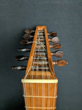 Daniel Larson Gamut 11-String Lute (used)