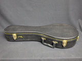 Richard Beard CM Mandolin (used)