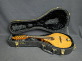 Richard Beard CM Mandolin (used)