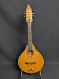 Richard Beard CM Mandolin (used)