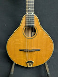 Richard Beard CM Mandolin (used)