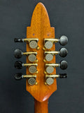 Richard Beard CM Mandolin (used)