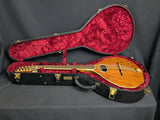Bob Abrams Trillium 5-String Bouzouki (used)
