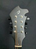 Breedlove American FO Mandolin (used)