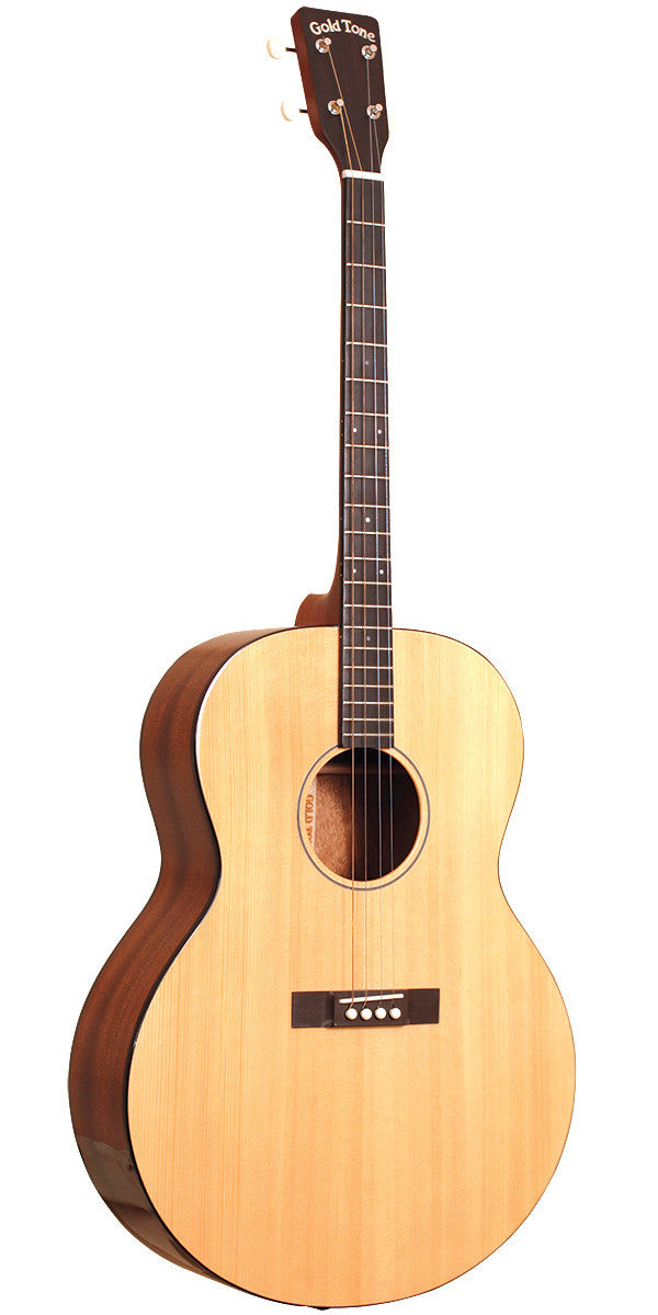 Gold Tone TG-18 tenor Guitar – House of Musical Traditions
