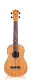 Cordoba 30T Tenor Ukulele