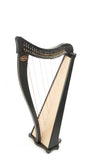 Ravenna 26 Harp by Dusty Strings