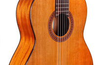 Cordoba Iberia Series Dolce 7/8 Size Classical Guitar