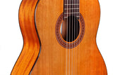 Cordoba Iberia Series Dolce 7/8 Size Classical Guitar