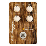 LR Baggs Align Session Acoustic Pedal