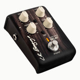 LR Baggs Align Series Delay Acoustic Pedal