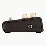 LR Baggs Align Series Delay Acoustic Pedal