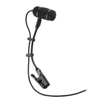 Audio-Technica ATM350 at House of Musical Traditions