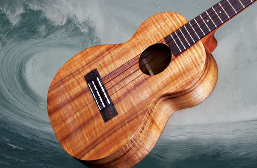LR Baggs Five.O Ukulele Pickup – House of Musical Traditions