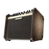 Fishman Loudbox Artist Amplifier