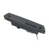 Fishman Rare Earth Magnetic Soundhole Pickup