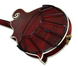 Mandolin Tone-Gard