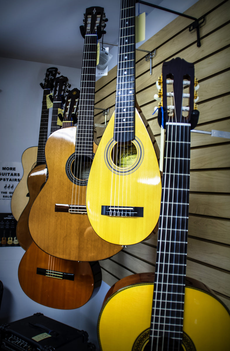 String Instruments Gatar Stringed Instruments at House of Musical Traditions.
