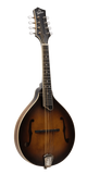 Gold Tone GM-55A A-Style Mandolin with Pickup