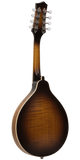 Gold Tone GM-55A A-Style Mandolin with Pickup