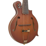 Gold Tone F-10 10-string Acoustic-Electric Mandolin